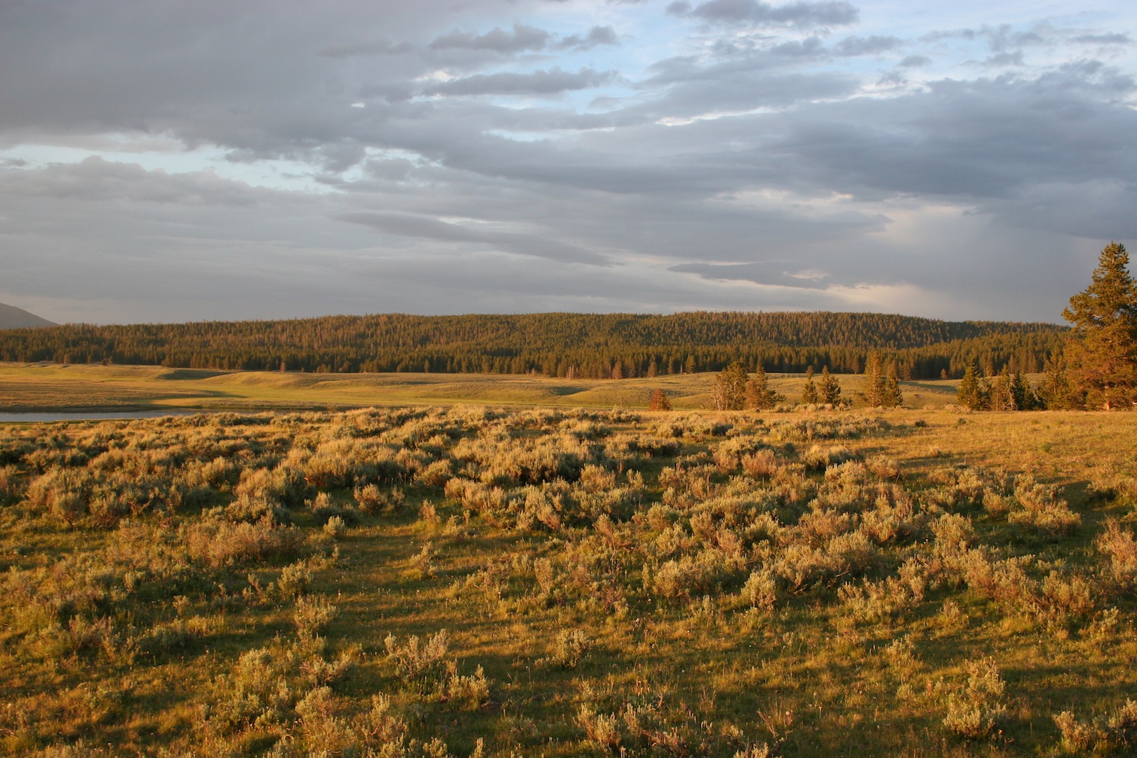 Hayden Valley