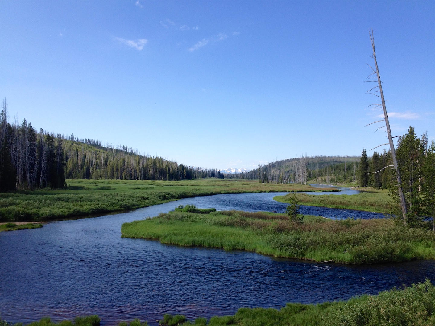 About Yellowstone Oxbow
